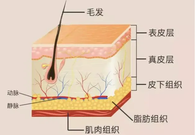 还在为皮肤健康而烦恼？中山一院广西医院助您科学护肤