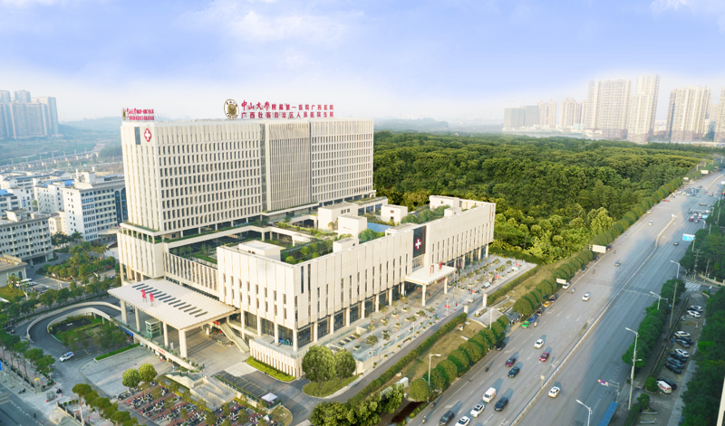 粤桂医心相连·“八月”人文相伴 | 中山一院广西医院“八月”文化品牌助力国家区域医疗中心高质量发展