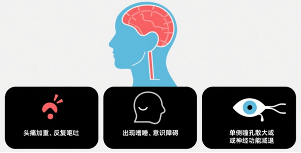 微信图片_2025-09-05_081304_871.jpg