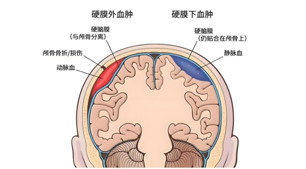 微信图片_2025-09-05_081302_031.jpg